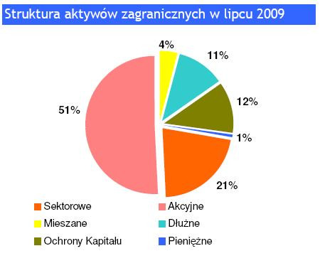 Struktura aktywów zagranicznych w lipcu 2009