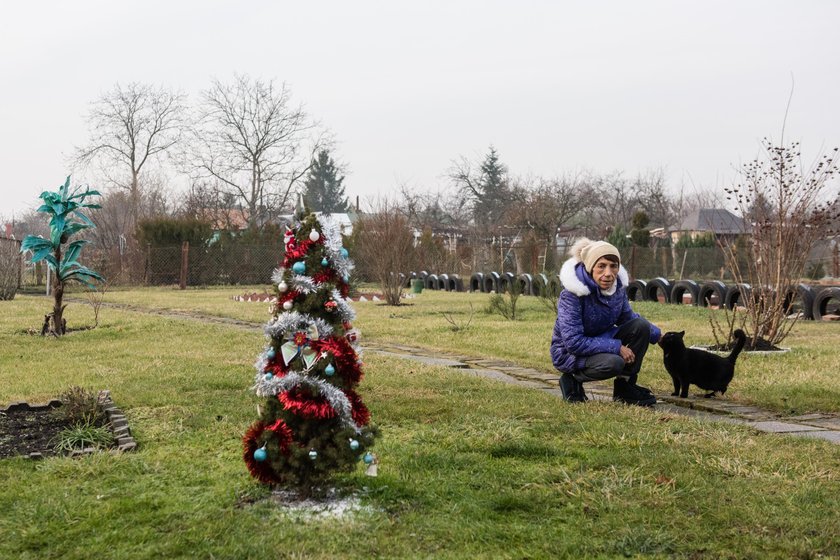 Pani Danusia opuściła działki na święta!