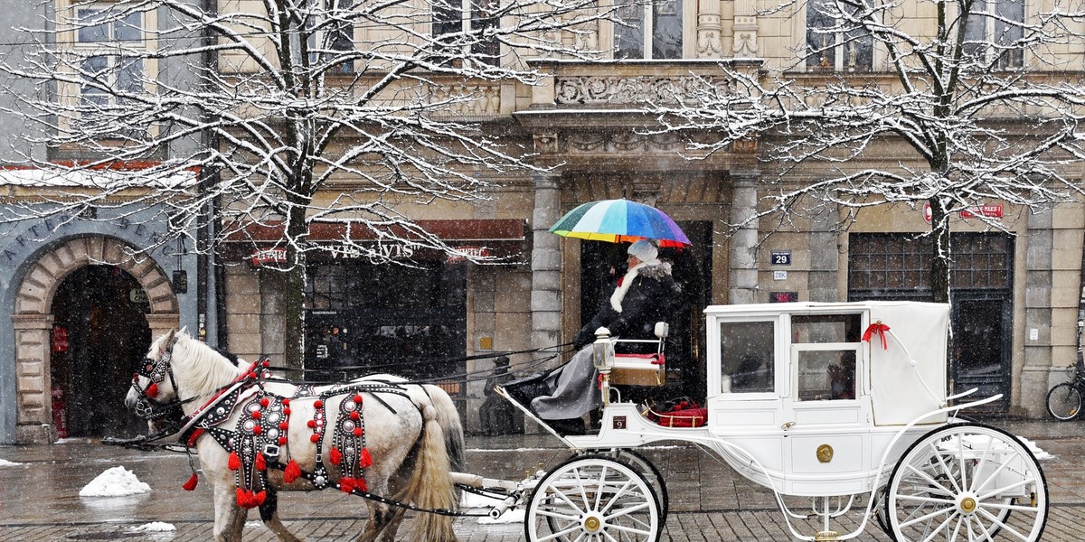 Kasy fiskalne będą musieli niebawem zainstalować m.in. dorożkarze, rykszarze, sprzątacze czy flisacy, którzy wożą turystów tratwami po Dunajcu