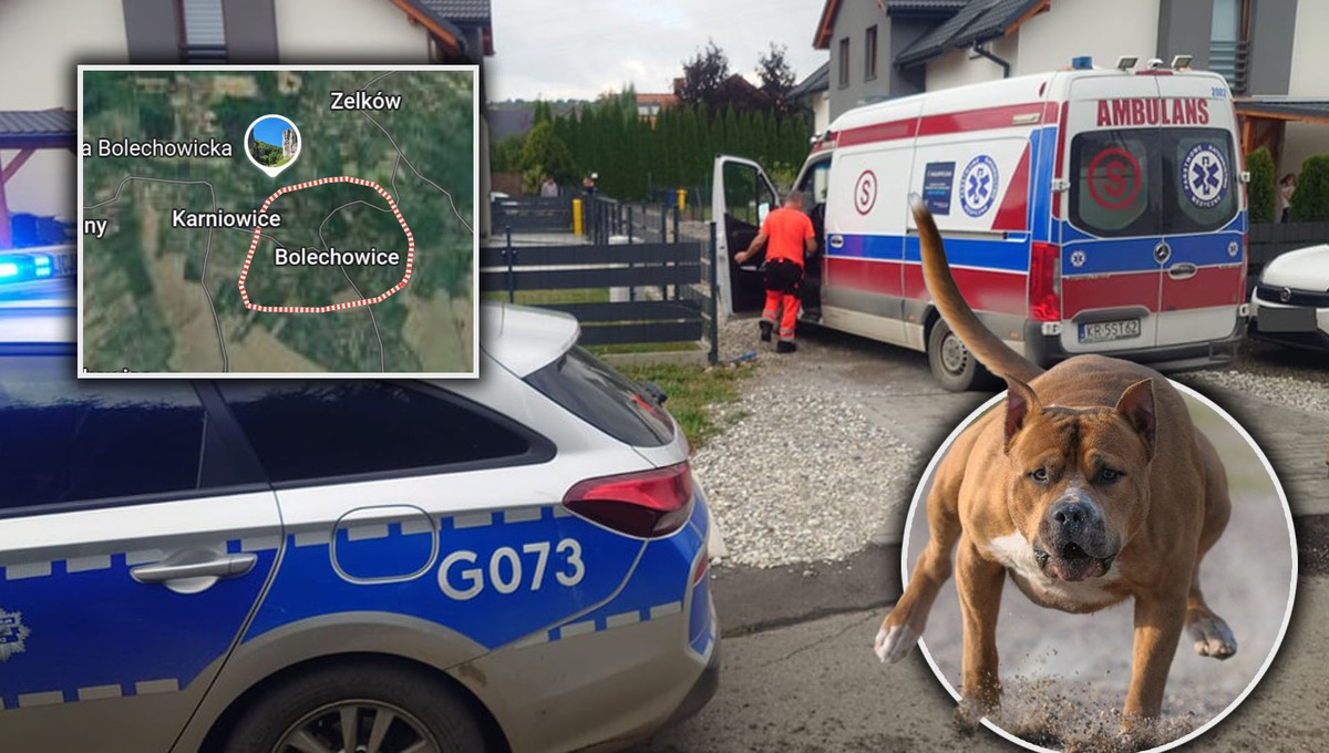 Dramat rowerzystki w Knurowie. Kiedy jechała obok stawu zaatakował ją amstaff