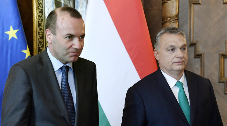 Manfred 
Weber bocsánatot vár Orbán
Viktor kormányfőtől/Fotó:MTI/Koszticsák Szilárd
