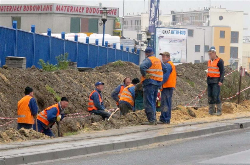 Rozgrzebali i stoją