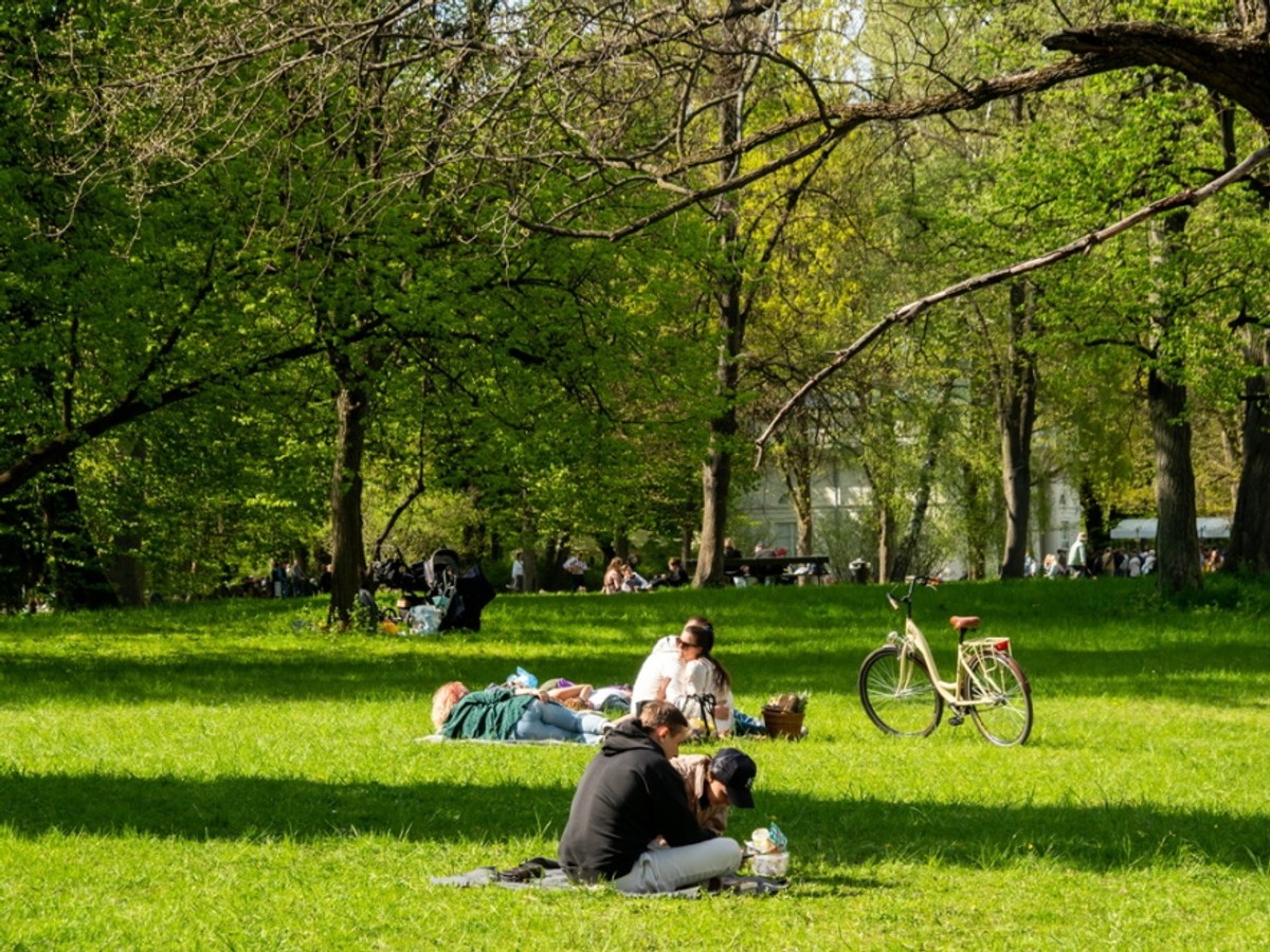 Walka ze zmianami klimatu zazieleni polskie miasta