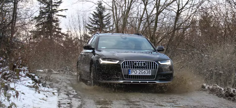 Audi A6 Allroad - jego wysokość Allroad