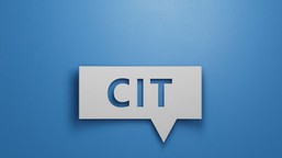 czy członkostwo w cechu wyklucza z estońskiego cit