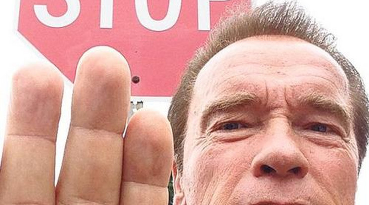 Schwarzenegger az interneten uszít a brutális oroszlánvadász ellen 