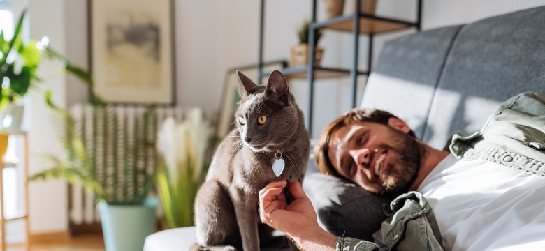 Dzień Kota: 5 faktów o kotach, które mogą cię zaskoczyć