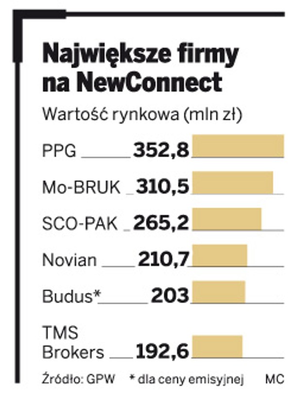 Największe firmy na NewConnect