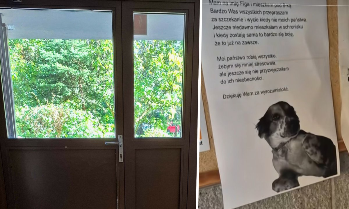 Wywiesił na klatce zaskakujący list. "Bardzo was przepraszam"