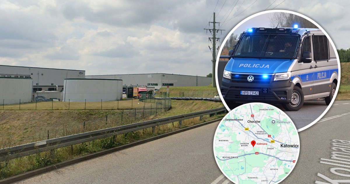 Makabryczne odkrycie niedaleko magazynu popularnej sieci. Znaleziono ciało