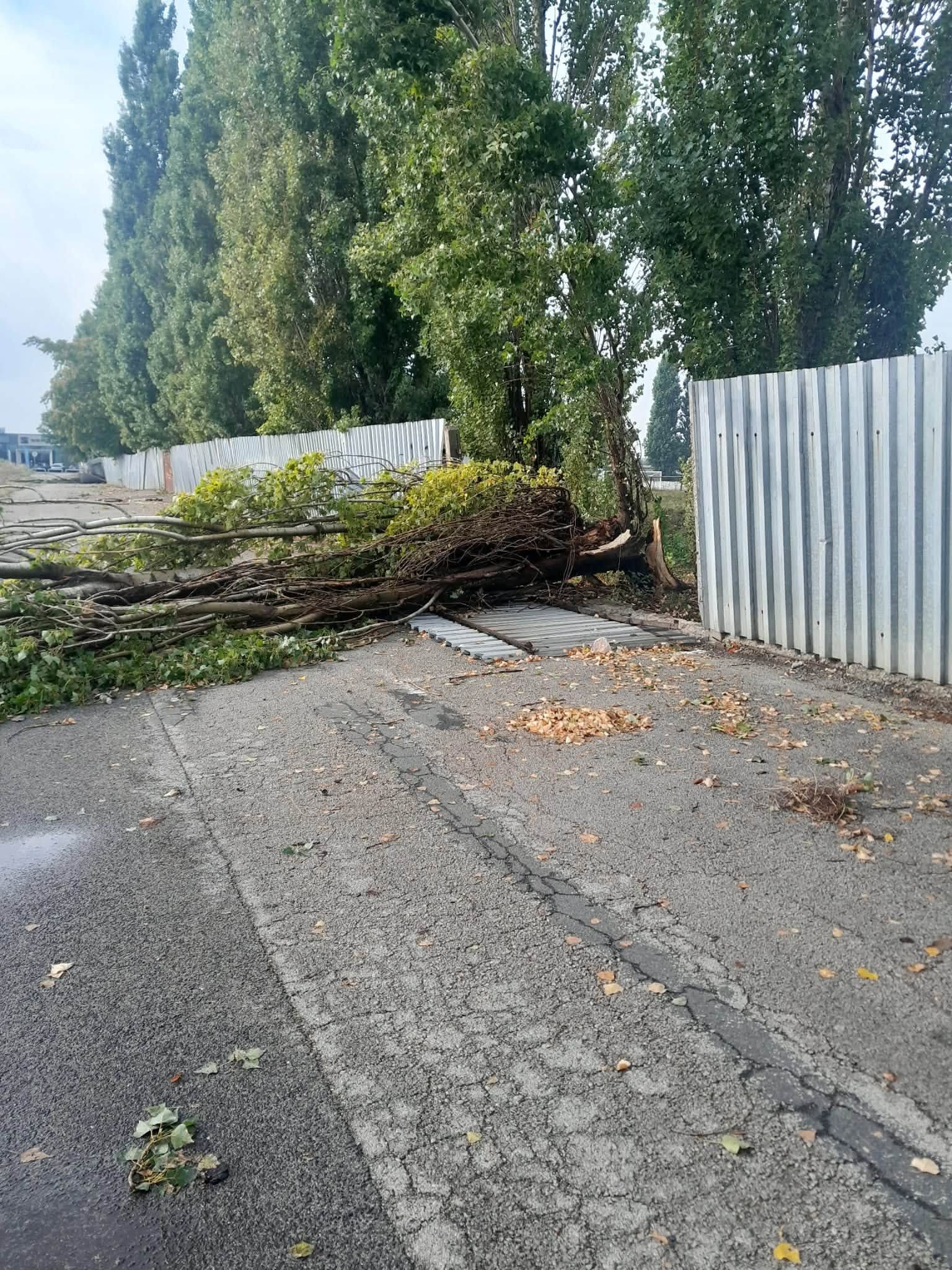 Škody po búrke v Galante. 