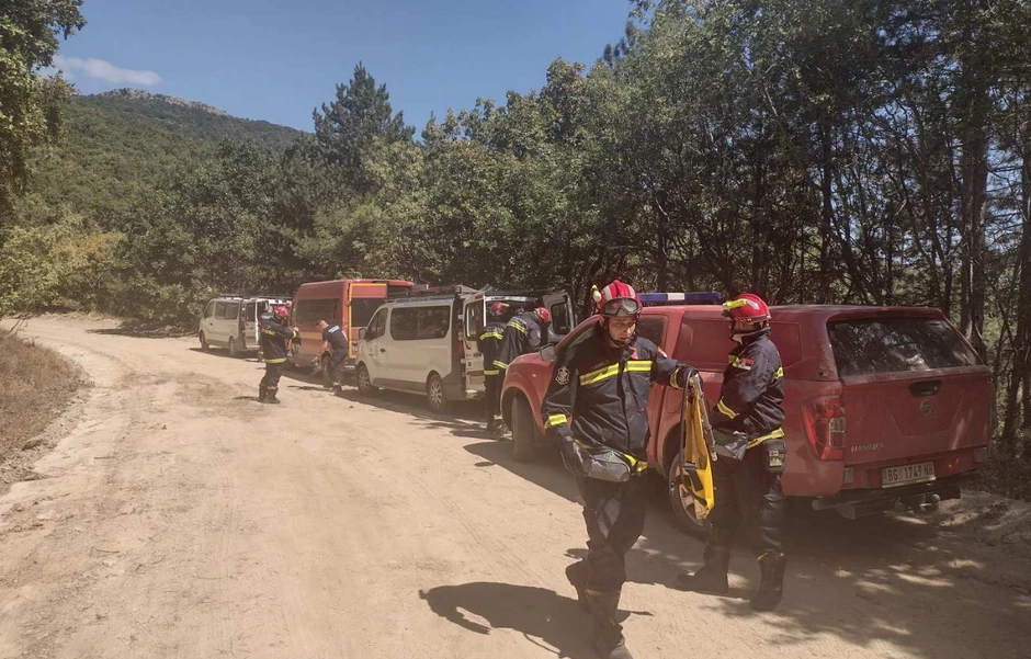Trideset vatrogasaca rade na gašenju požara u Grčkoj