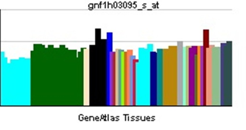 Gen CDH13 povezan je s poremećajem kontrole impulsivnog ponašanja