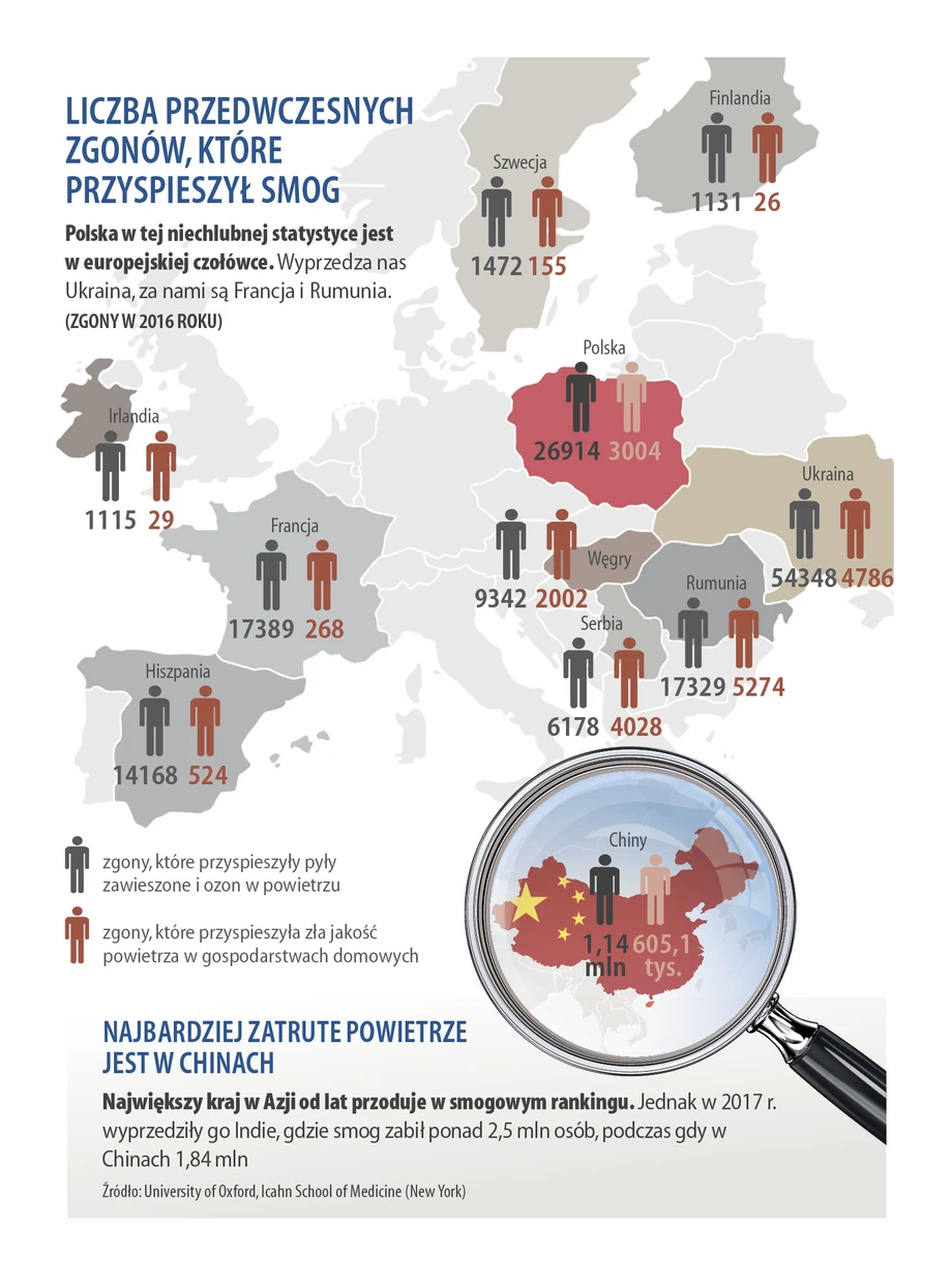 Liczba przedwczesnych zgonów - Europa