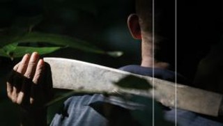 Andrzej Muszyński 'Południe' - recenzja