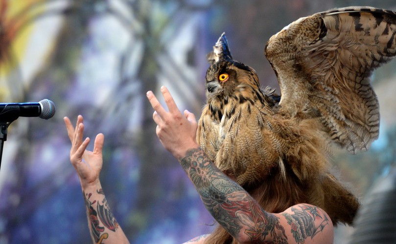 Norweski zespół metalowy Kvelertak na Stadionie Narodowym