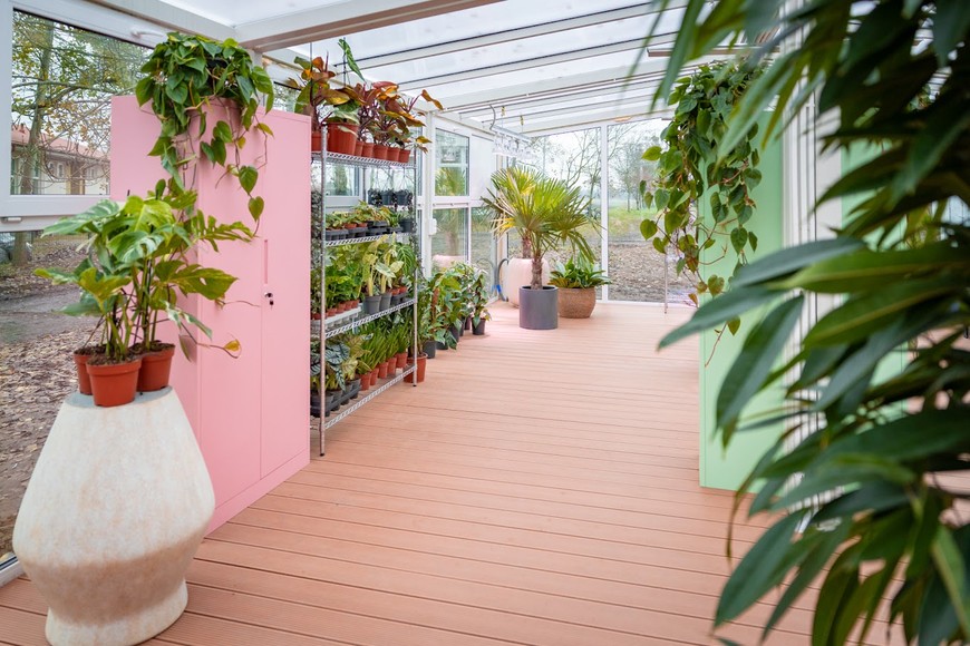 Szkoła przy szkockiej będzie dla młodzieży i dorosłych