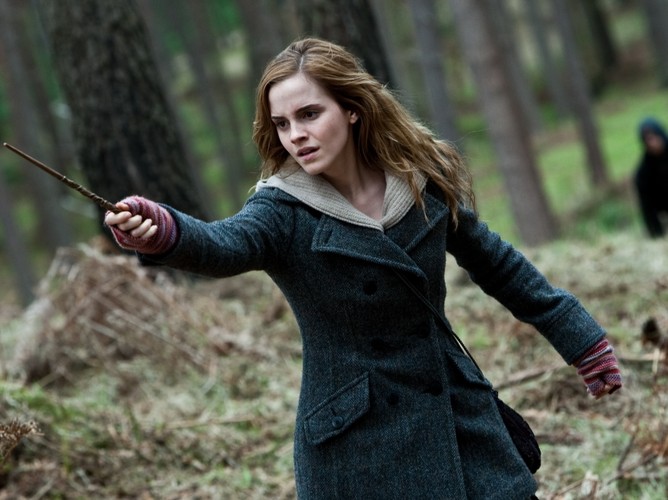 (C) 2010 WARNER BROS. ENTERTAINMENT INC. HARRY POTTER PUBLISHING RIGHTS (C) J.K.R.