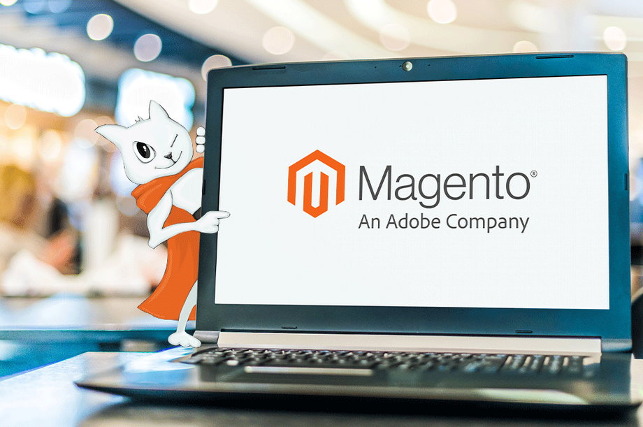Duże i średnie e-commerce`y obecnie decydują się na oparcie swojego sklepu o rozwiązania dostępne dzięki Magento 2 (Adobe Commerce). | Fot. Materiał Partnera