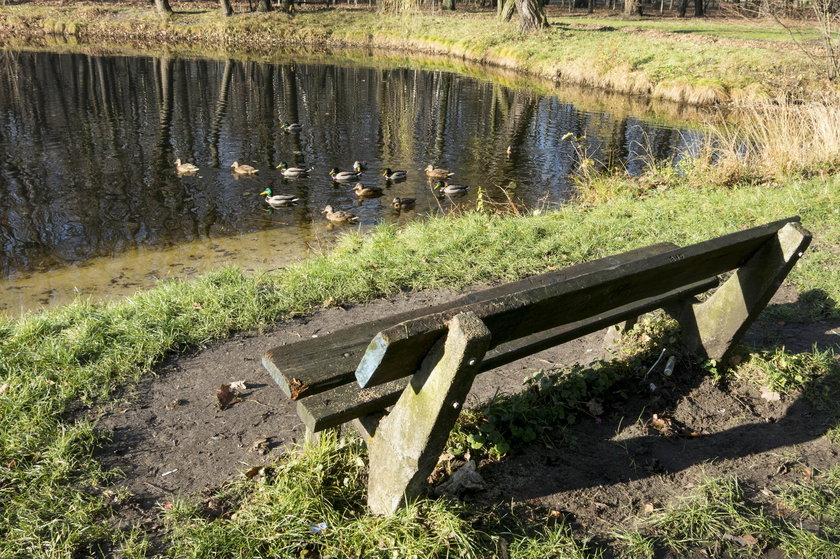 Dąbrowa Górnicza. Park Zielona będzie przebudowany