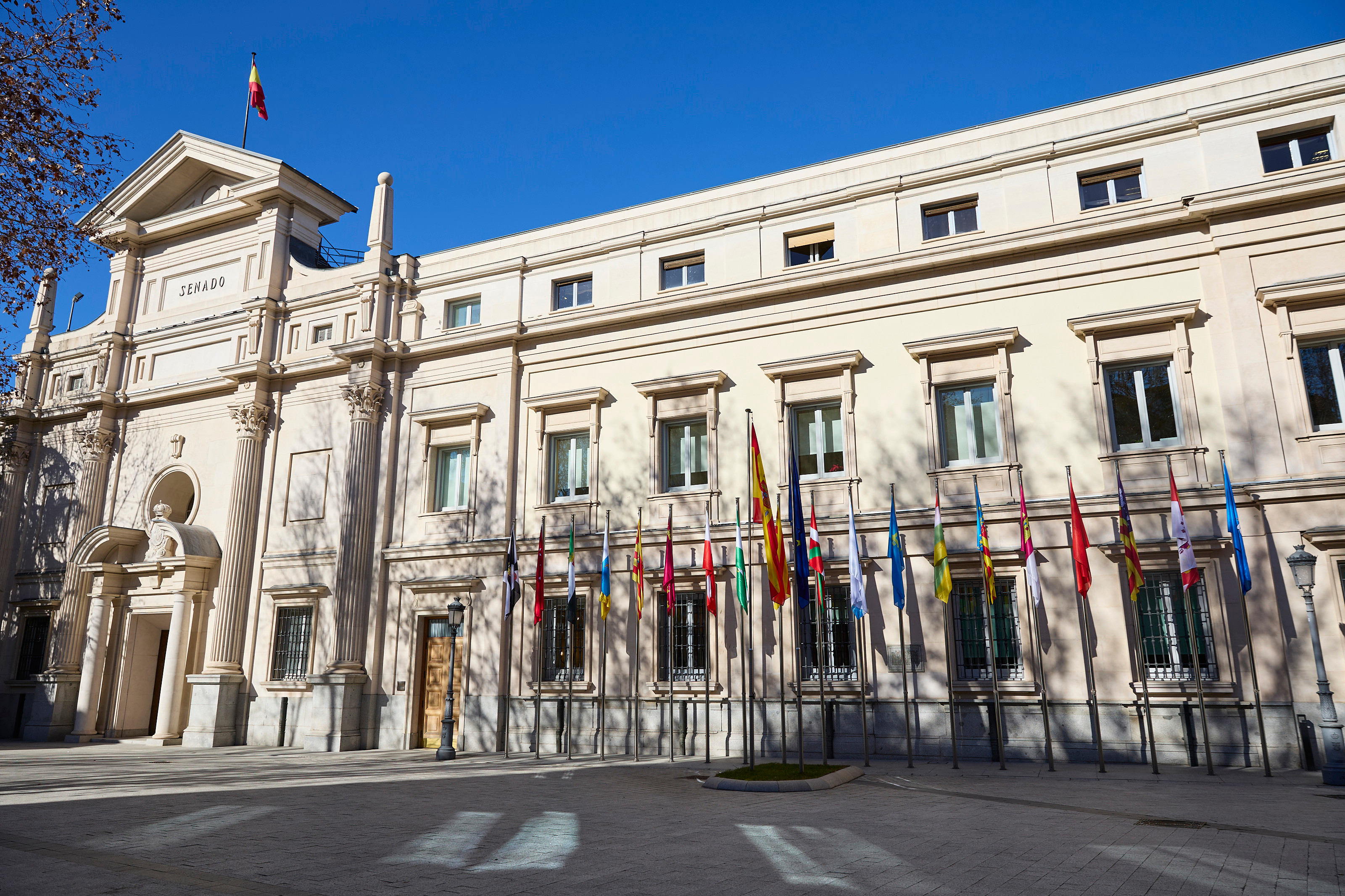Senado aprueba reforma REF Canarias para incentivar alquiler