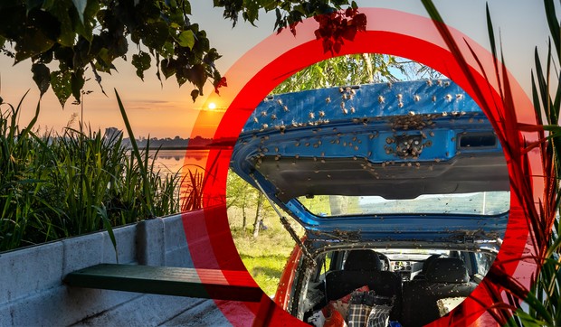 pecanje RAS Shutterstock, Facebook Milorad Ljubinkovic