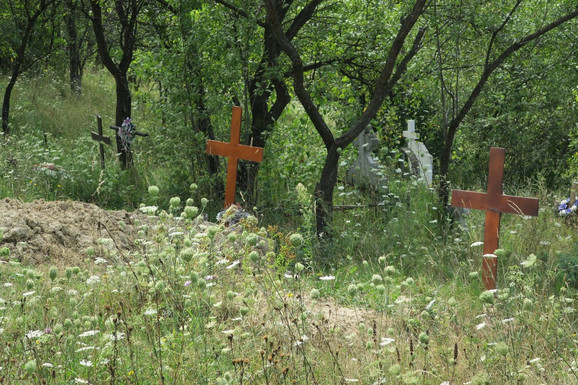 POKOJNIKA NI DA POGLEDAJU Kolona od 70 ljudi iz Mureša išla ka grobnom mestu kada se iz šume POJAVIO MEDVED: Bežali, trčali i vrištali u panici boreći se za goli život