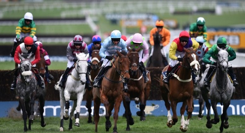 Minella Rocco (L, jockey with white cap) finished second in Friday's Cheltenham Gold Cup behind Sizing John