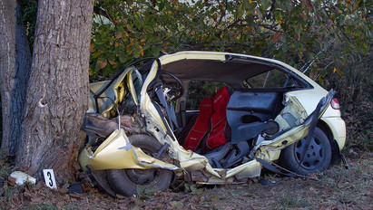 Tragédia: fának csapódott egy autó Dunaföldvárnál, a sofőr azonnal meghalt – fotók