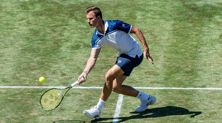 Fucsovics reményteljesen vág neki Wimbledonnak/Fotó: AFP