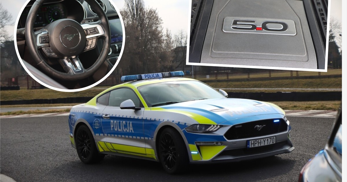 Mustang GT w policji - nietypowy radiowóz