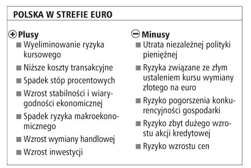 Polska w strefie euro