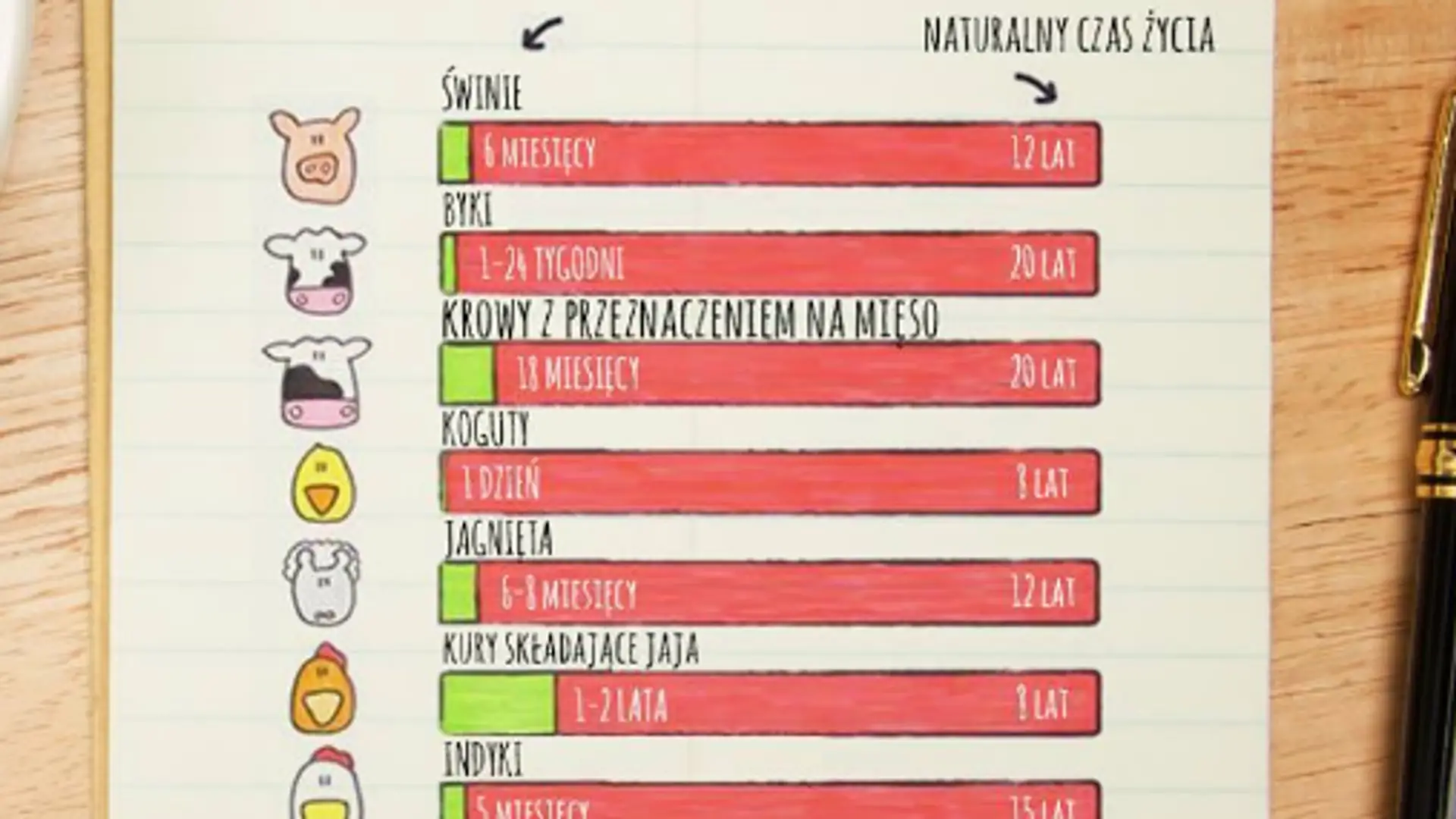 Śmiejesz się z wegetarian? Zobacz, jak szybko zabijamy zwierzęta, gdy są nam potrzebne