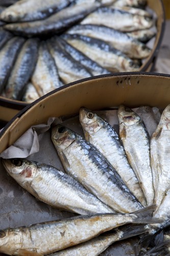 Majorka. Wszystko, co najlepsze w Hiszpanii