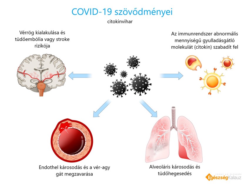 megszabadulni a parazitáktól pikkelyes papilloma és hpv