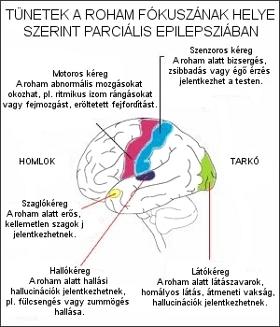 magas vérnyomás és epilepszia)
