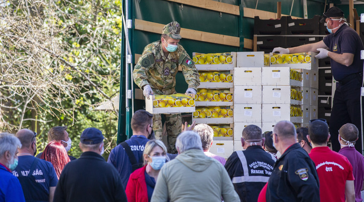 A Civil Összefogás Közhasznú Alapítvány 6,2 tonna gyümölcsadománnyal segíti a Vas megyei rászorulókat / Fotó: MTI/Varga György