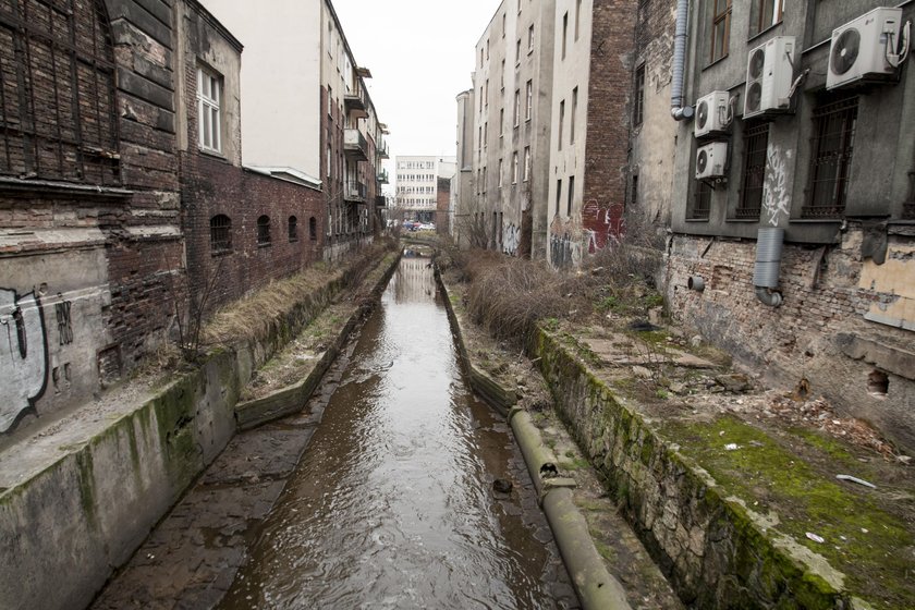 Katowice. Oczyszczanie Rawy