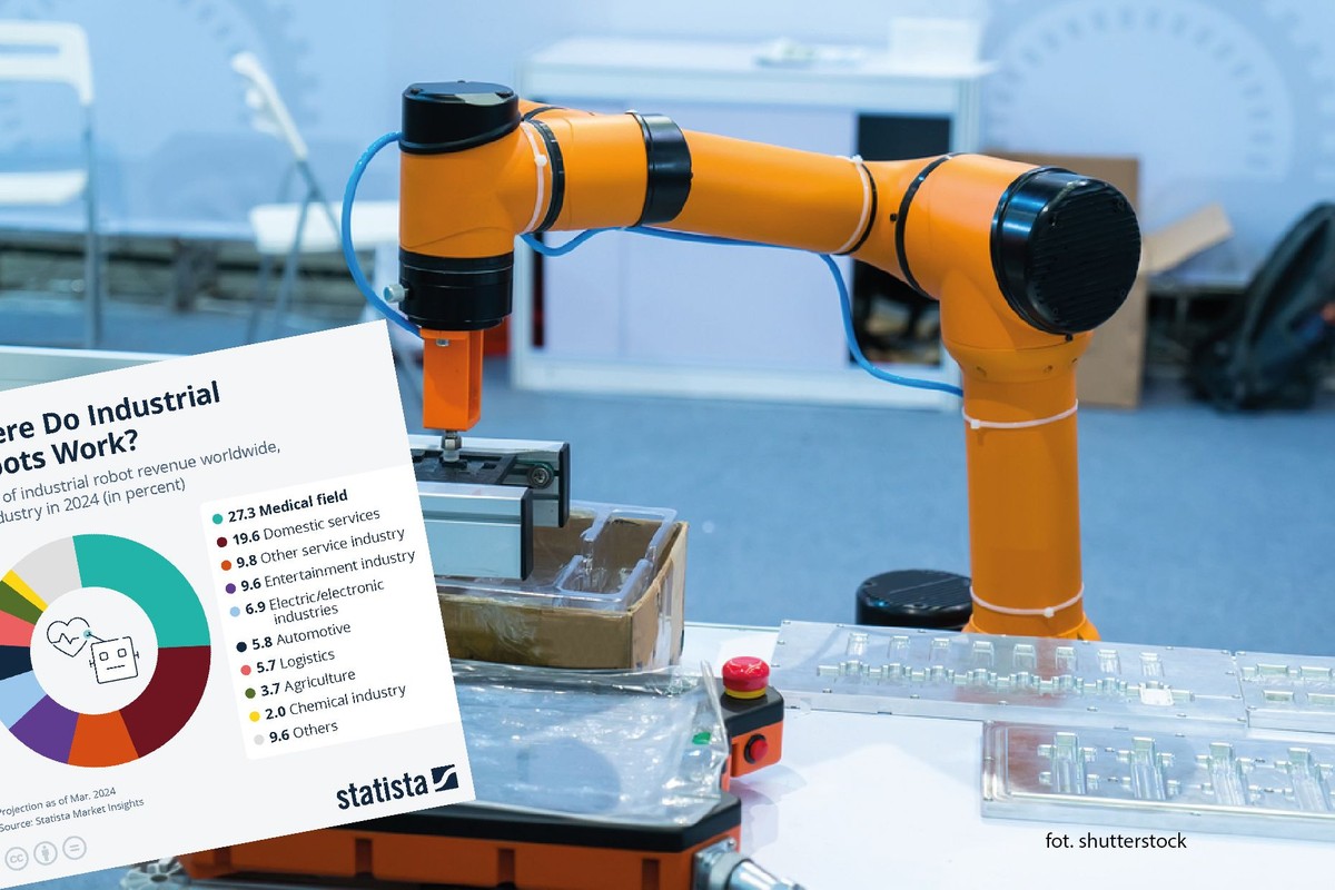 Przychody z pracy robotów w 2024 r.