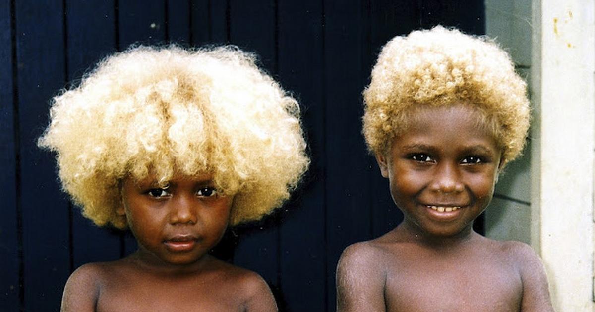 Mélanésiens : Rencontre avec les seuls noirs blonds naturels au monde |  Pulse Côte d'Ivoire