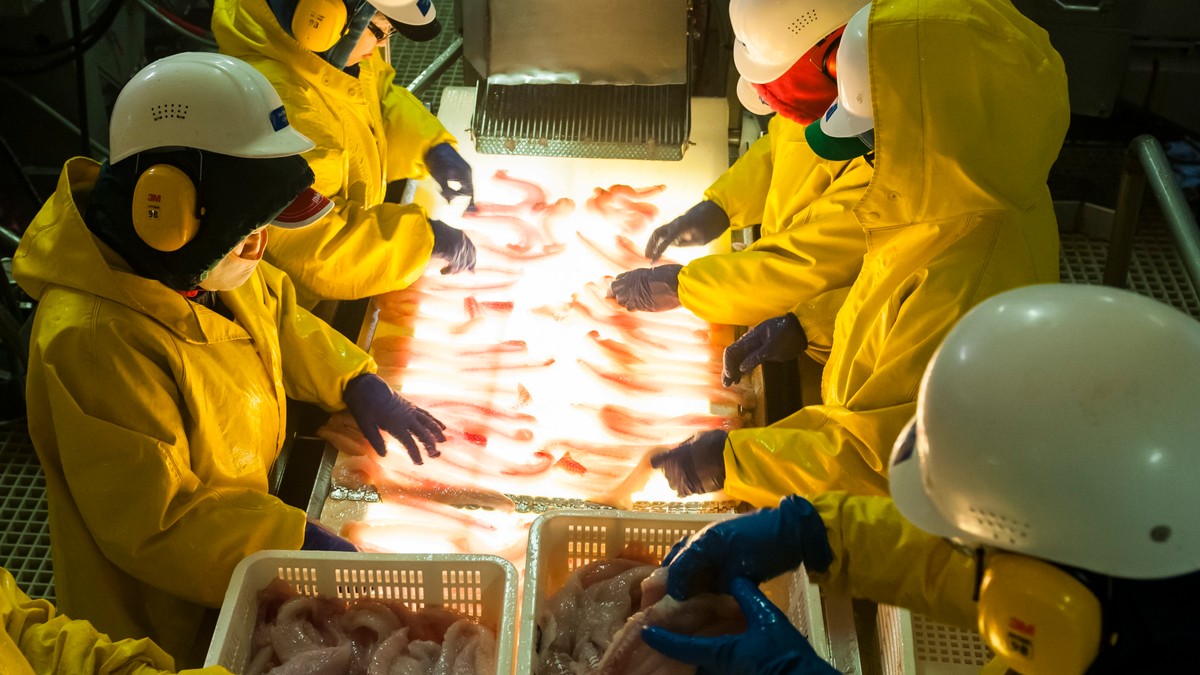 Otišli smo da radimo na Aljasku i vratili se sa 15.000 dolara: Studenti iz Beograda odlično zaradili, evo kako se zaposliti i gde se prijaviti