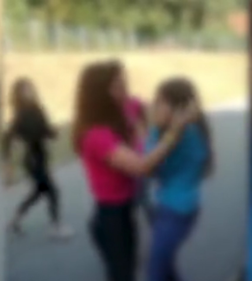 škola barajevo nasilje