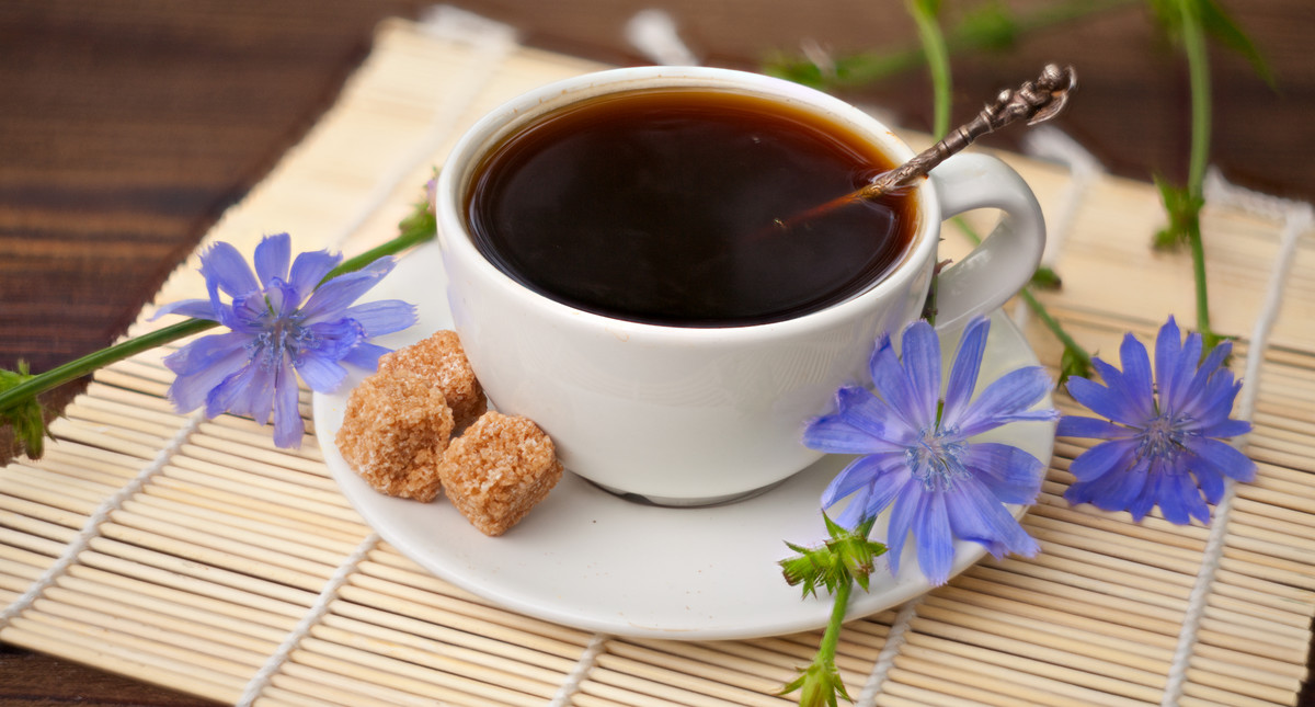 Kawa z cykorii na trawienie i odporność. Wartości odżywcze napoju