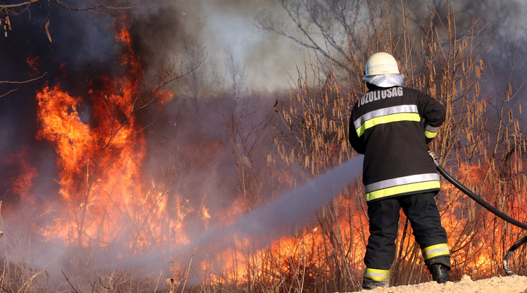 Tűz a Nádasréten  - Miskolc és Kistokaj közötti külterületen, ahol kigyulladt az aljnövényzet 2020. március 15-én. / Fotó: MTI/Vajda János