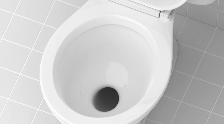 Így lesz csillógoan tiszta a vécécsészéd Fotó: Getty Images