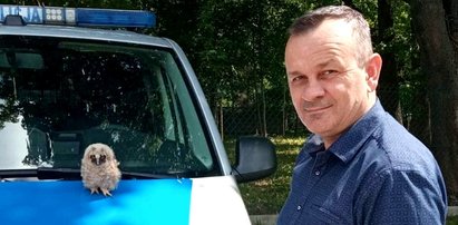 Policjant uratował malutką sowę. Trudno oderwać od niej wzrok [ZDJĘCIA]