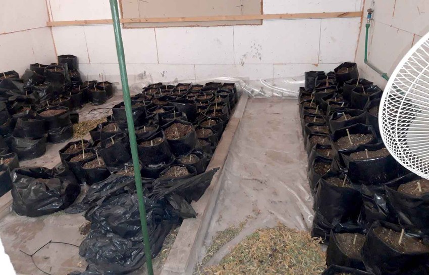 Laboratorija otkrivena u Zemunu 