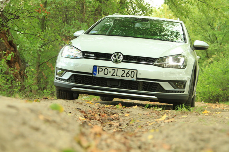 Volkswagen Golf Alltrack 2.0 TDI DSG - stylizowany na terenówkę