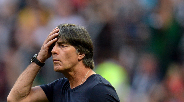 Joachim Löw a Mexikó elleni első csoportmeccsen / Fotó: MTI/ /EPA/Peter Powell