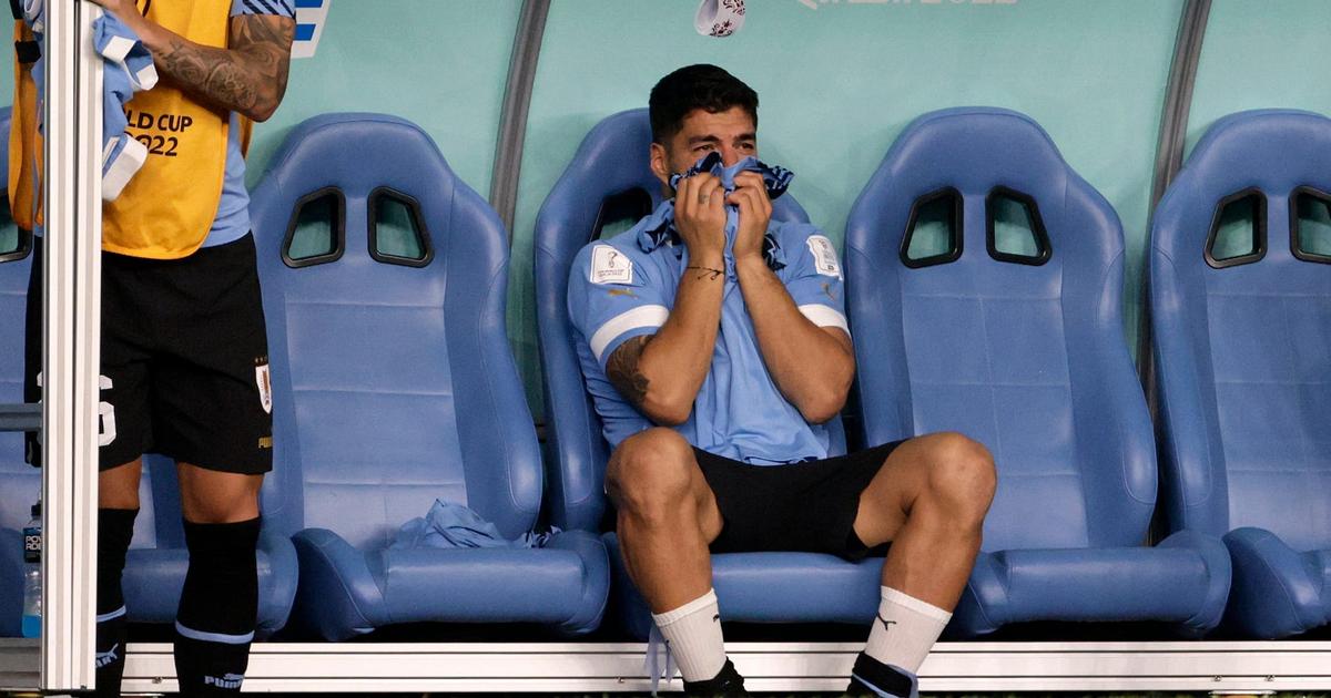 Luis Suarez quebrou no banco depois de ver a Coreia do Sul marcar contra Portugal, eliminando o Uruguai da Copa do Mundo